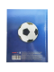 Дневник школьный Мяч на синем 40л 5-11кл